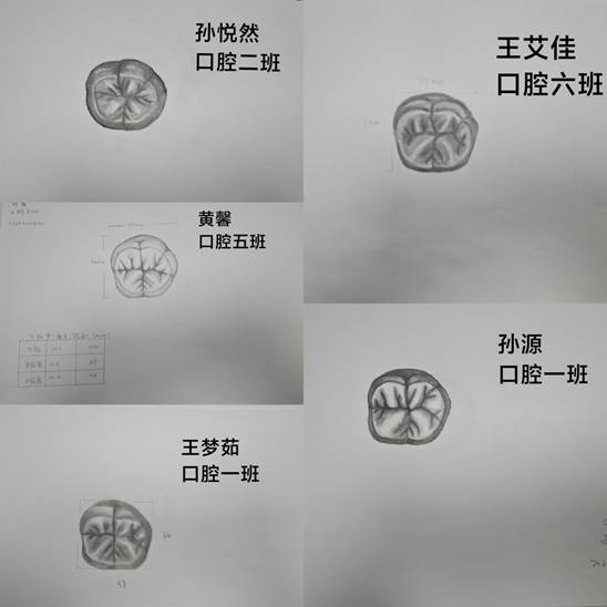 a4638aa390b650a9f53eda55548191f a4638aa390b650a9f53eda55548191f